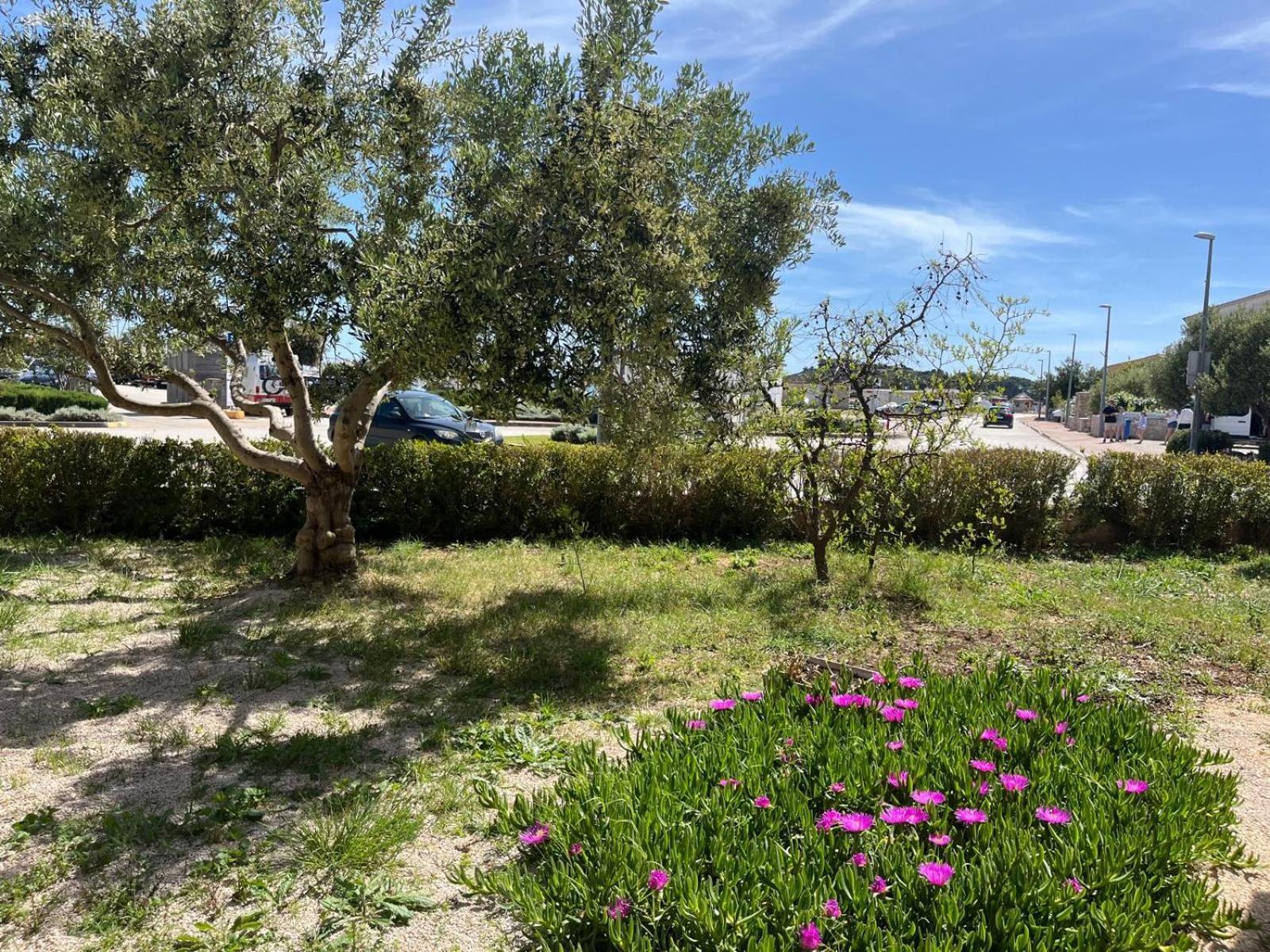 Apartmani Saldi Pakoštane Exterior foto